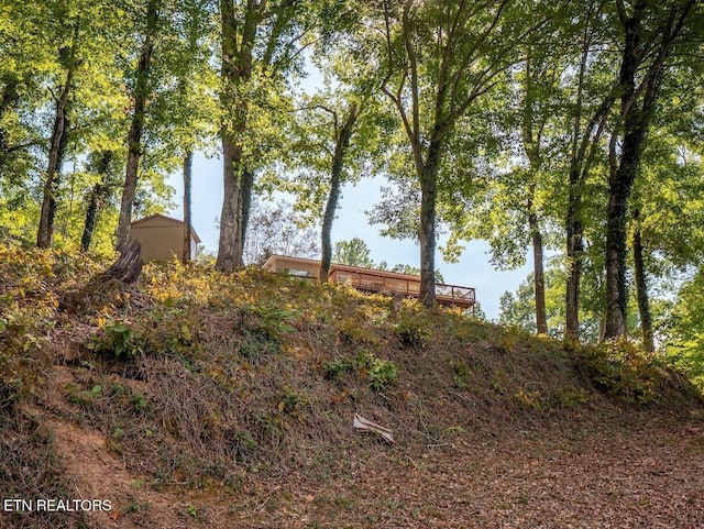 542 Sunset Hills Ln, Spring City, TN 37381 - photo 24