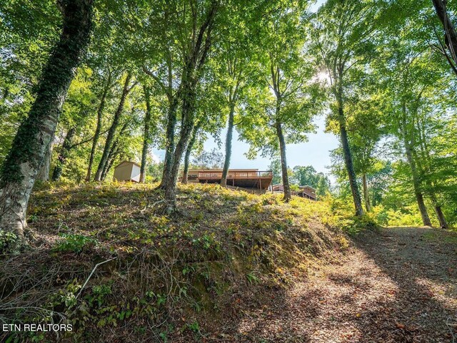 542 Sunset Hills Ln, Spring City, TN 37381 - photo 25