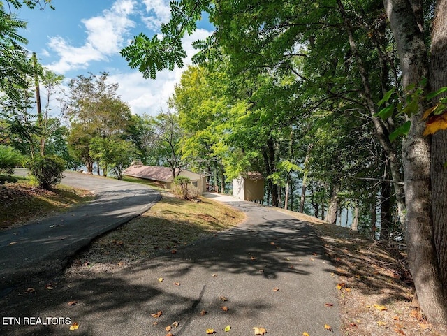 542 Sunset Hills Ln, Spring City, TN 37381 - photo 27