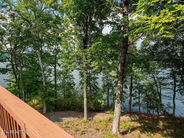 542 Sunset Hills Ln, Spring City, TN 37381 - photo 41