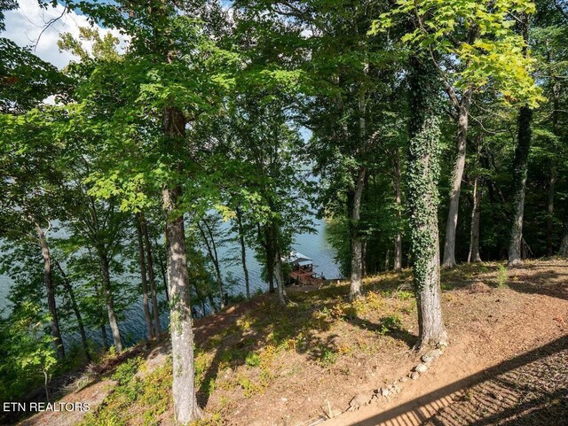 542 Sunset Hills Ln, Spring City, TN 37381 - photo 42