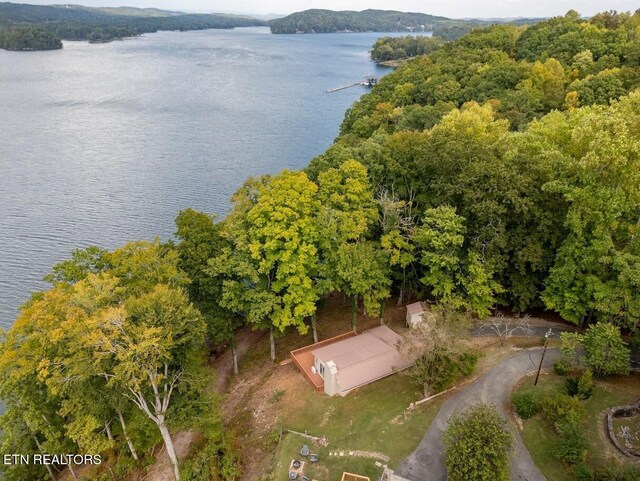 542 Sunset Hills Ln, Spring City, TN 37381 - photo 47