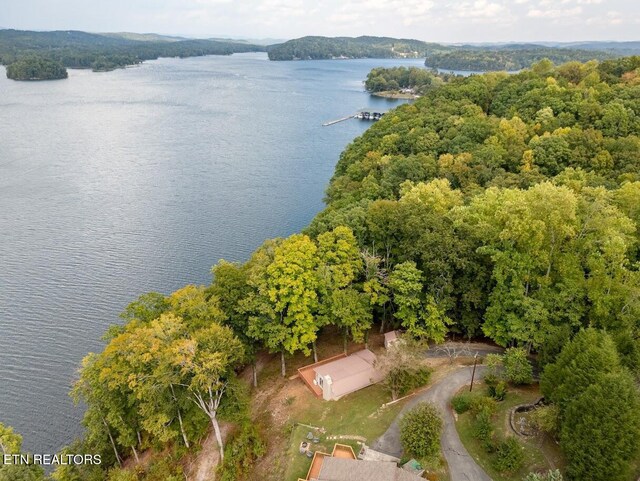 542 Sunset Hills Ln, Spring City, TN 37381 - photo 48