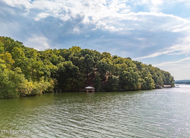 542 Sunset Hills Ln, Spring City, TN 37381 - photo 53
