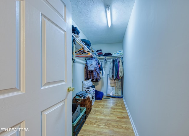 120 Rew St, Oakdale, TN 37829 - walk in closet with light wood-style flooring