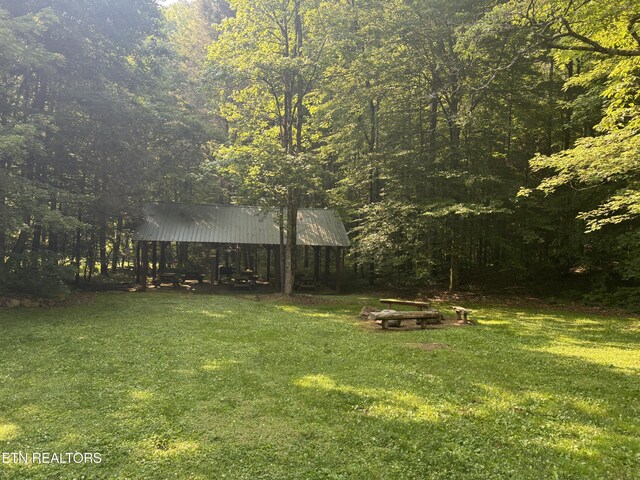 Smoky Cove Rd, Sevierville, TN 37876 - photo 10