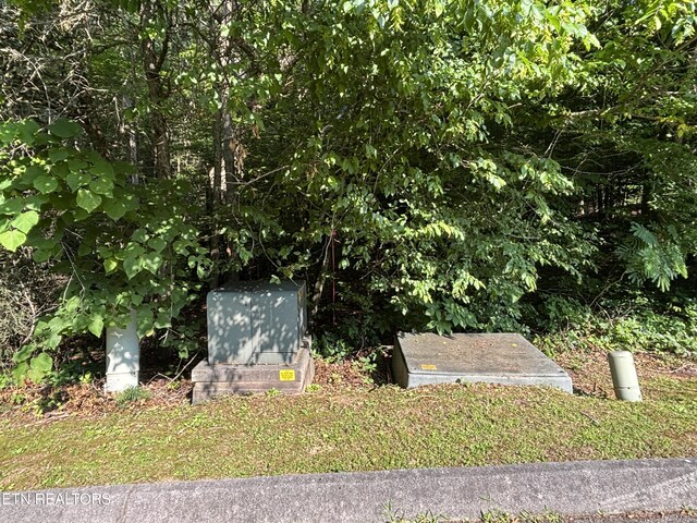 Smoky Cove Rd, Sevierville, TN 37876 - photo 4
