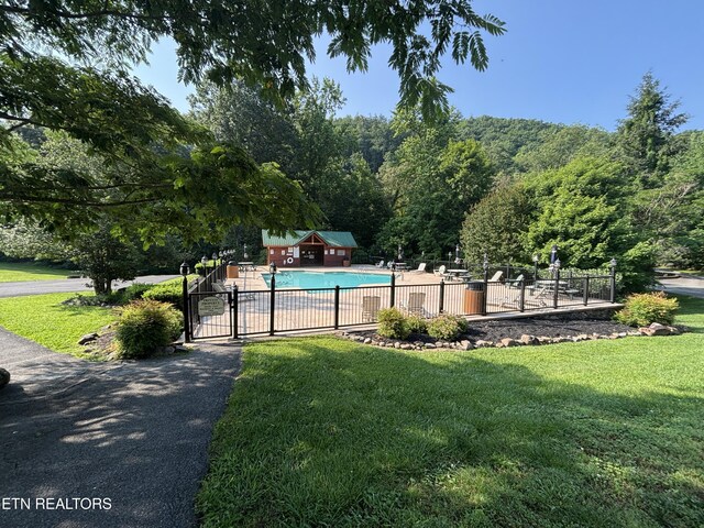 Smoky Cove Rd, Sevierville, TN 37876 - photo 9