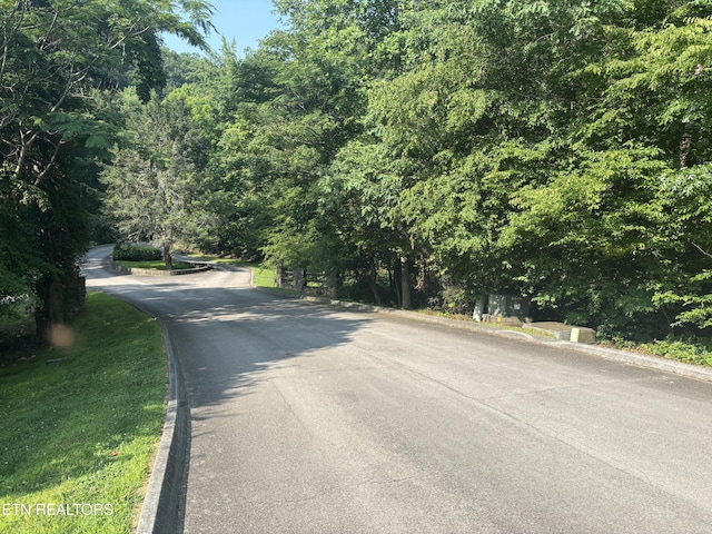 Smoky Cove Rd, Sevierville, TN 37876 - photo 8