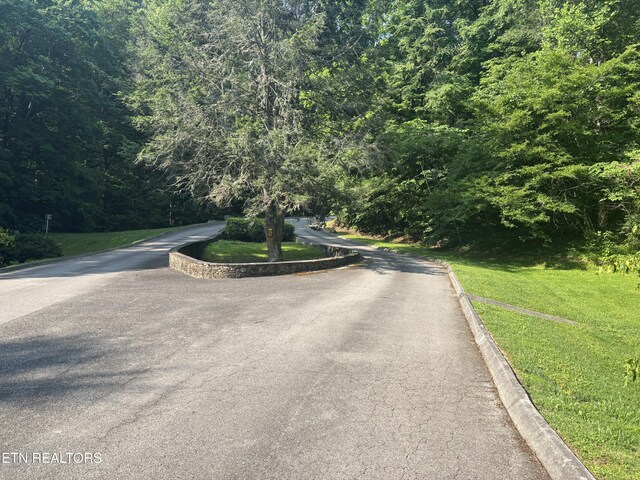Smoky Cove Rd, Sevierville, TN 37876 - photo 7