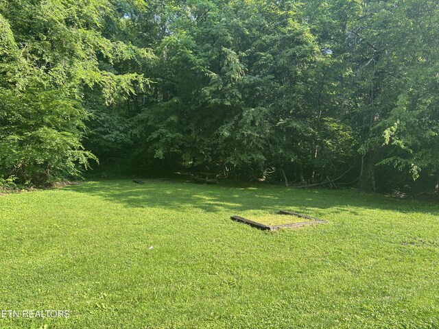 Smoky Cove Rd, Sevierville, TN 37876 - photo 14