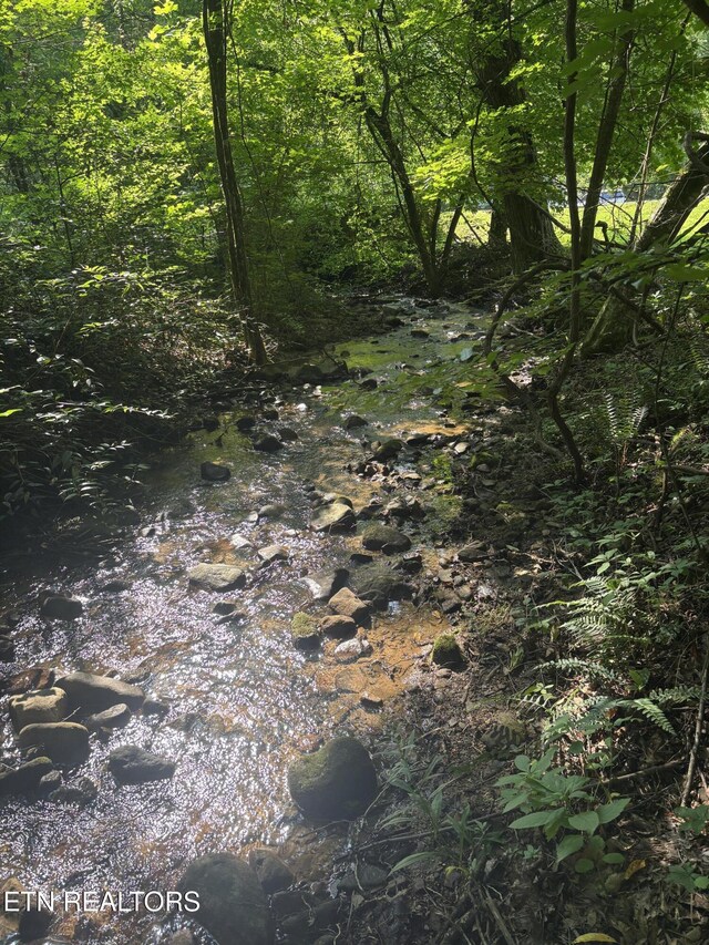 Smoky Cove Rd, Sevierville, TN 37876 - photo 3