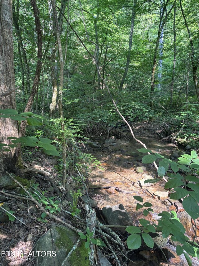 Smoky Cove Rd, Sevierville, TN 37876 - photo 5