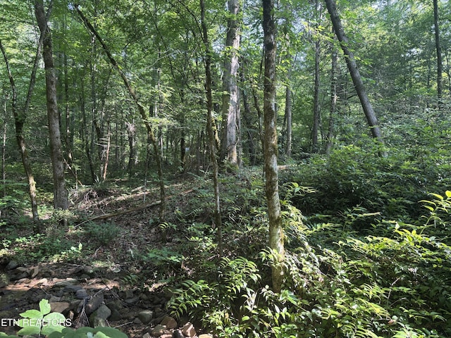 Smoky Cove Rd, Sevierville, TN 37876 - photo 2