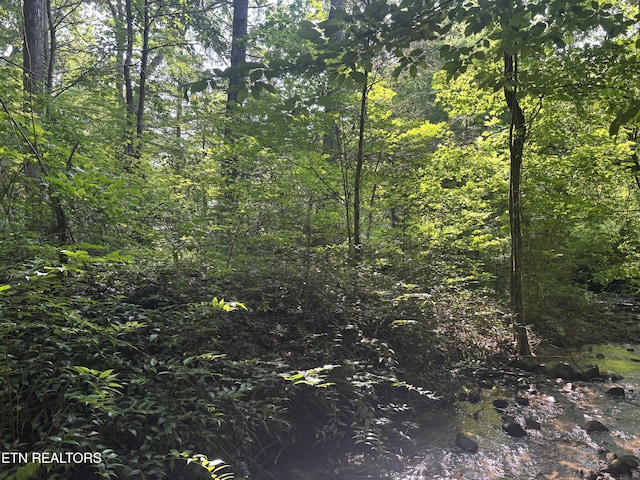 Smoky Cove Rd, Sevierville, TN 37876 - photo 6