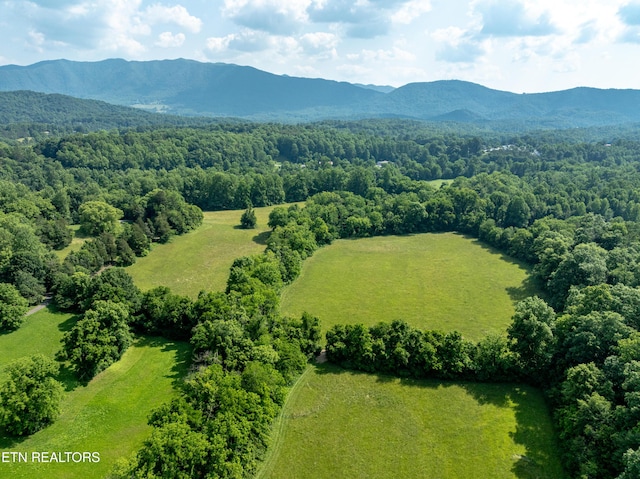 Rudd Rd, Townsend, TN 37882