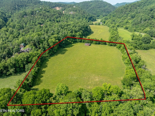 Rudd Rd, Townsend, TN 37882