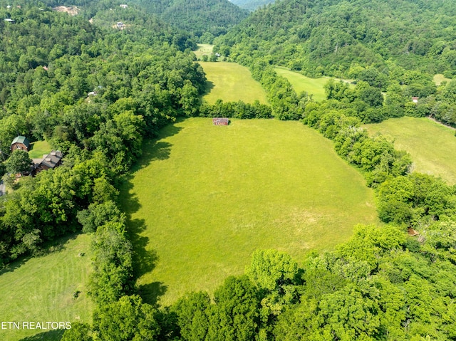 Rudd Rd, Townsend, TN 37882