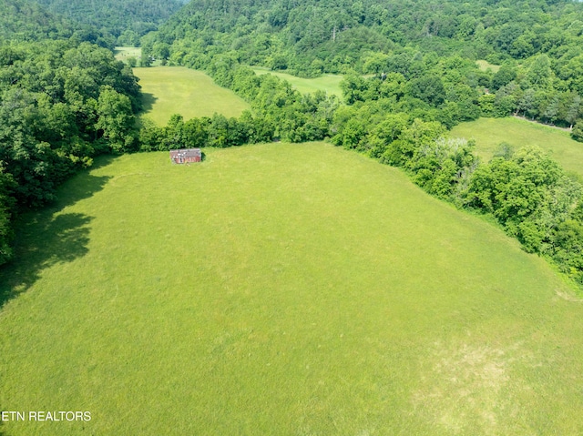 Rudd Rd, Townsend, TN 37882