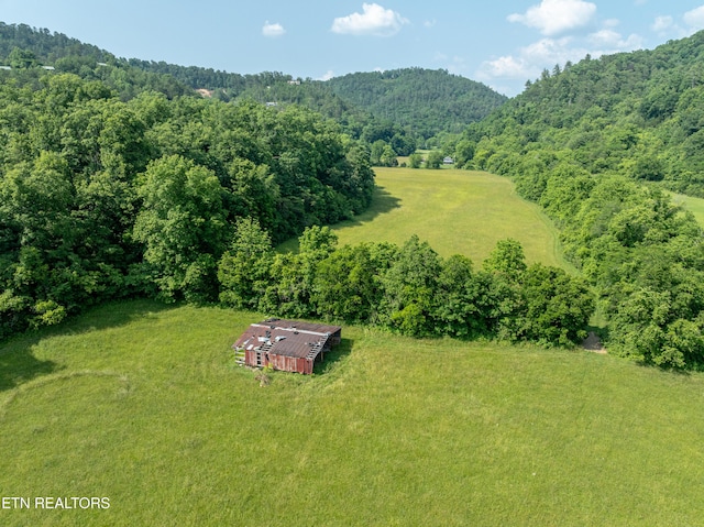 Rudd Rd, Townsend, TN 37882