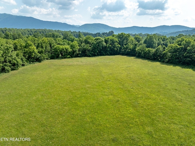 Rudd Rd, Townsend, TN 37882