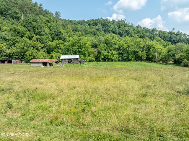 468 Rudd Rd, Townsend, TN 37882 - photo 7