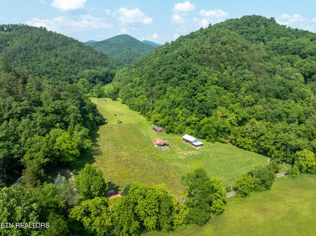 468 Rudd Rd, Townsend, TN 37882 - photo 9