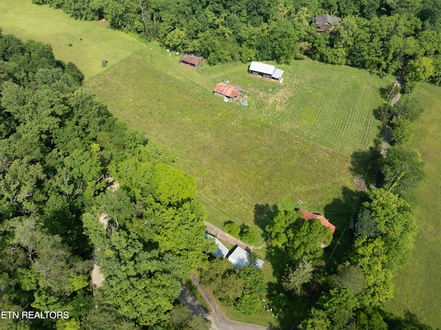 468 Rudd Rd, Townsend, TN 37882 - photo 10