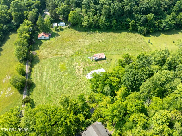 468 Rudd Rd, Townsend, TN 37882 - photo 11
