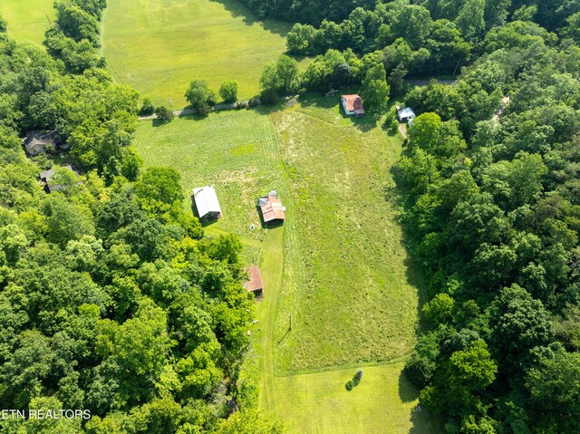 468 Rudd Rd, Townsend, TN 37882 - photo 12