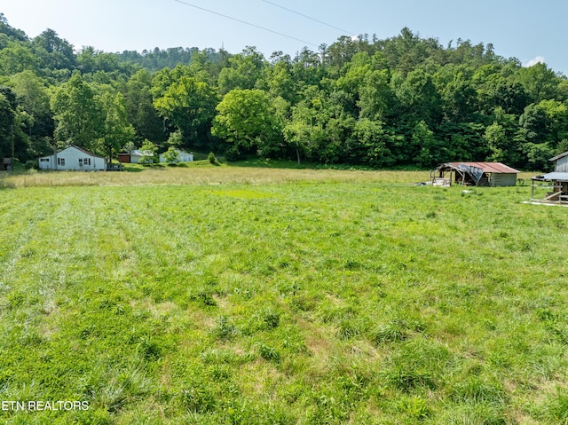 468 Rudd Rd, Townsend, TN 37882 - photo 16