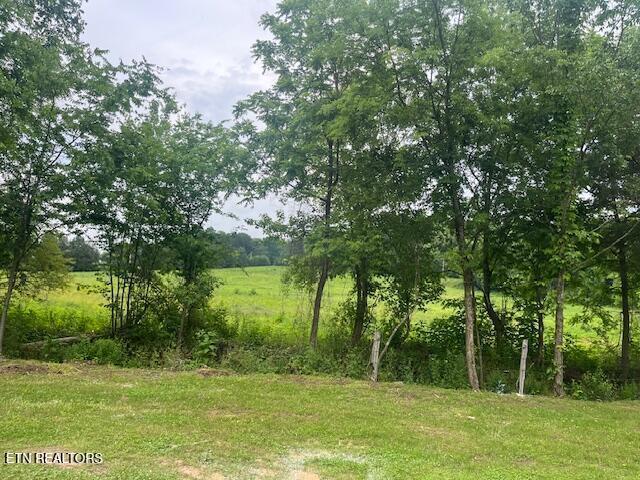 209 John Long Rd, Spring City, TN 37381 - photo 2