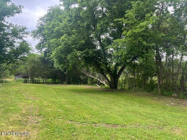 209 John Long Rd, Spring City, TN 37381 - photo 3