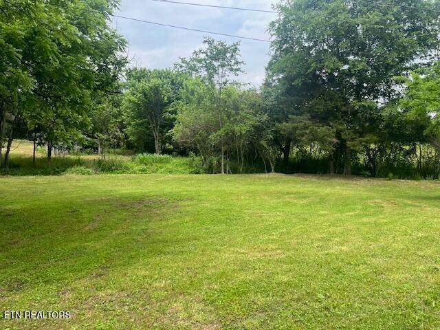 209 John Long Rd, Spring City, TN 37381 - photo 4