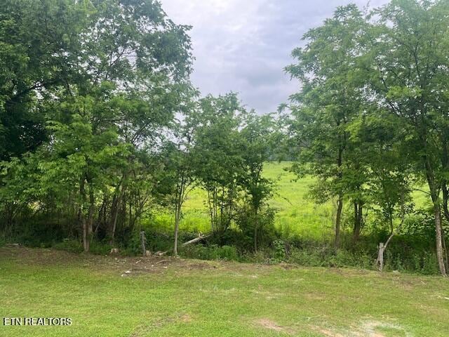 209 John Long Rd, Spring City, TN 37381 - photo 5