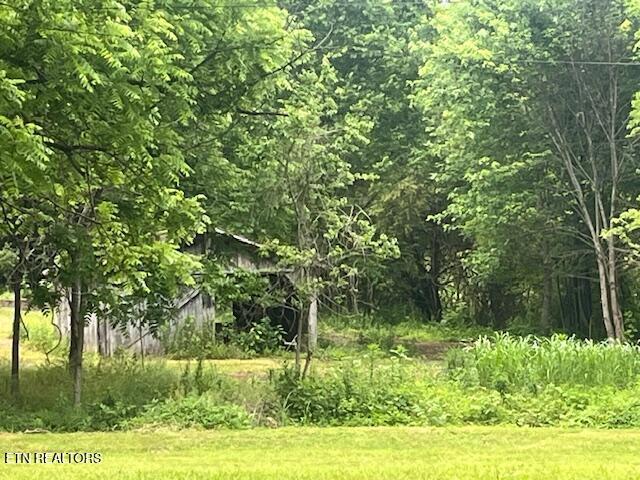 209 John Long Rd, Spring City, TN 37381 - photo 32