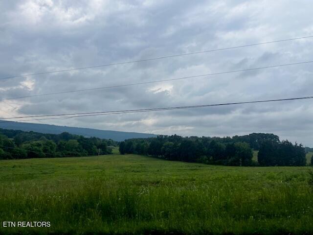 209 John Long Rd, Spring City, TN 37381 - photo 34