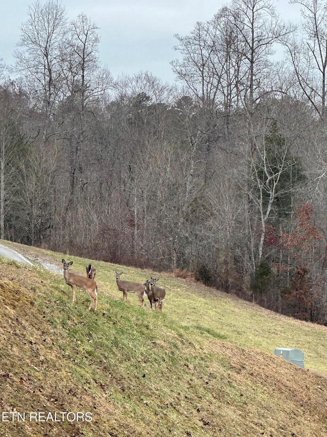 560 Summer Cir, Lafollette, TN 37766