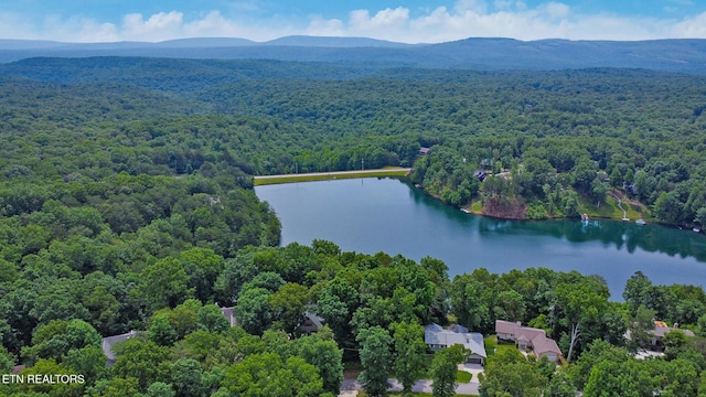 23 Brambleton Ct, Crossville, TN 38558 - photo 5