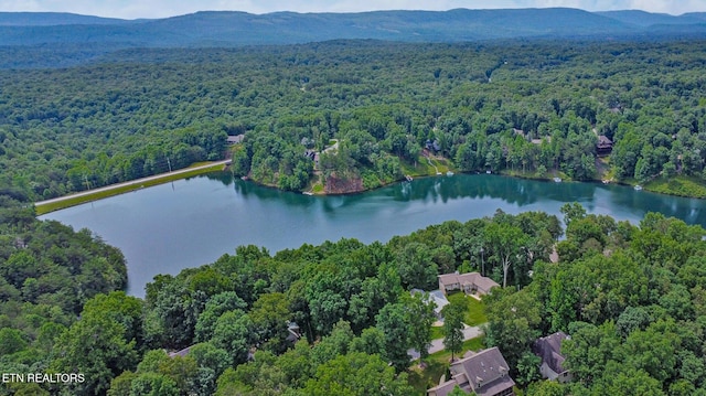 23 Brambleton Ct, Crossville, TN 38558 - photo 6