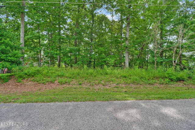 23 Brambleton Ct, Crossville, TN 38558 - photo 13