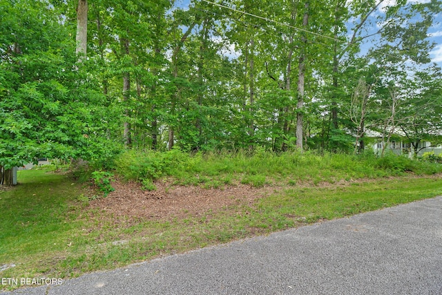 23 Brambleton Ct, Crossville, TN 38558 - photo 14