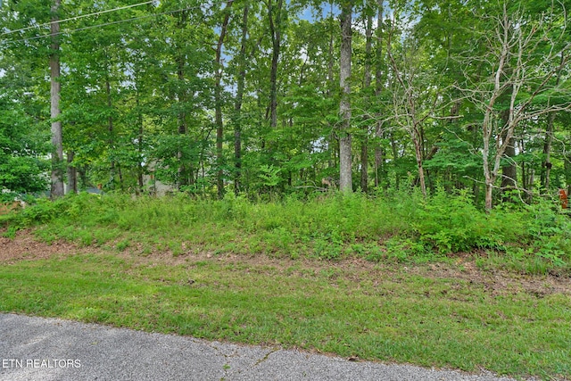 23 Brambleton Ct, Crossville, TN 38558 - photo 15