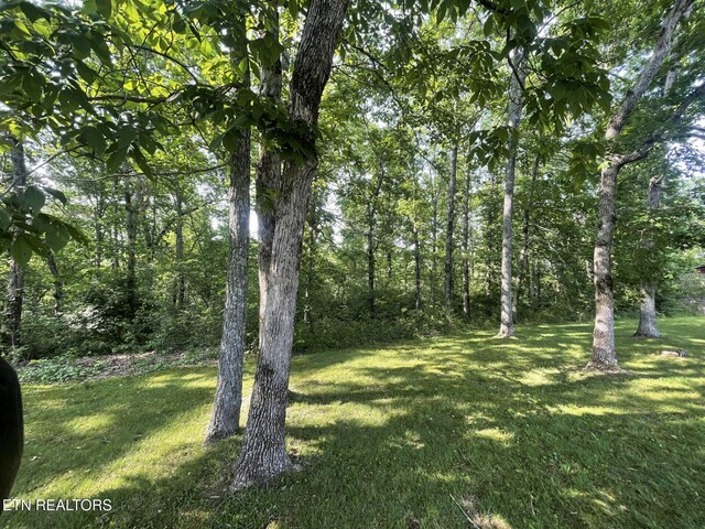 56 Robbins Nest Dr, Crossville, TN 38555 - photo 22
