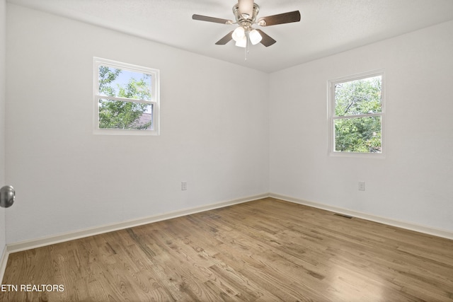 508 E Oldham Ave, Knoxville, TN 37917 - spare room featuring healthy amount of natural light, light wood-type flooring, baseboards, and a ceiling fan