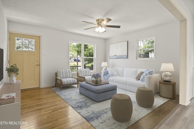 508 E Oldham Ave, Knoxville, TN 37917 - living room featuring healthy amount of natural light, light wood-style flooring, ceiling fan, and a textured ceiling