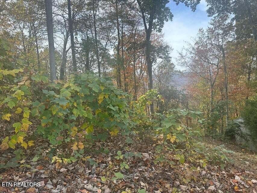 LOT28 Della Ln, Rocky Top, TN 37769 - photo 2