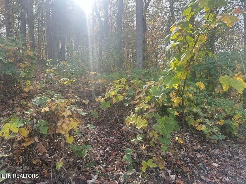 LOT28 Della Ln, Rocky Top, TN 37769 - photo 4