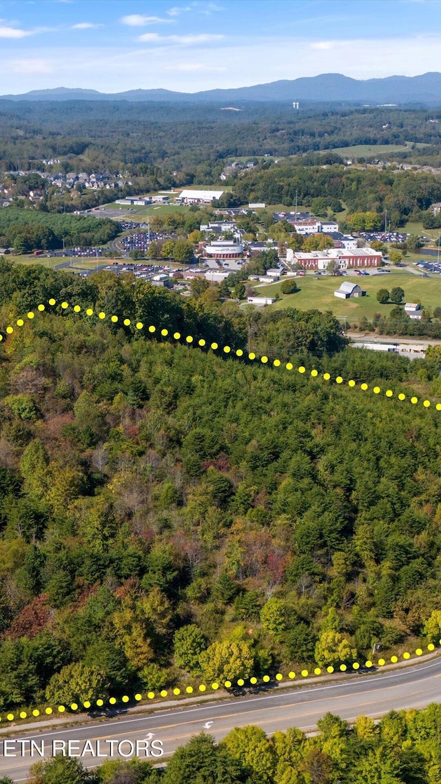 Valley Vista Rd, Knoxville, TN 37932 - photo 4