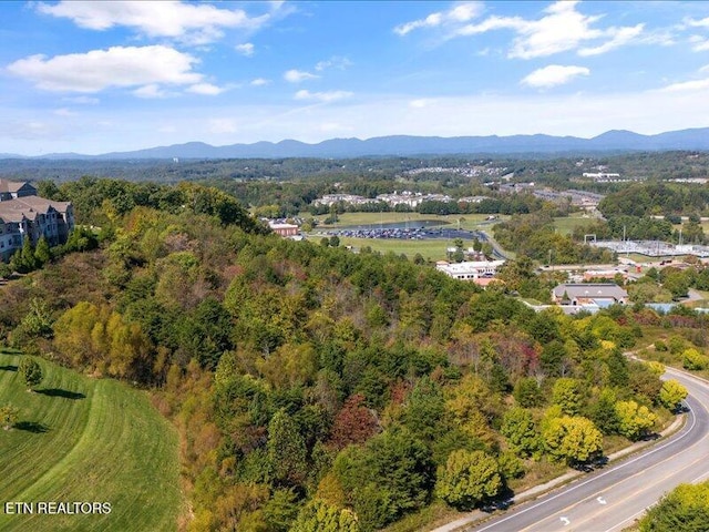 Valley Vista Rd, Knoxville, TN 37932 - photo 6